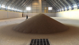 21 ноября в госфонд закупили 31,32 тысячи тонн зерна